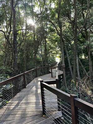 المنطقة المحيطة بالمنشأة