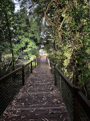 Walk along the winding boardwalk, flanked by lush foliage and trees, to a scenic destination.