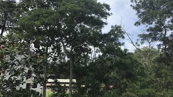 Basic Room, 2 Twin Beds | View from room