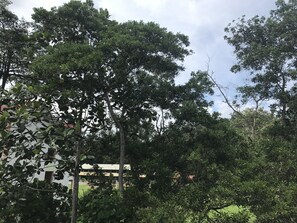 Basic Room, 2 Twin Beds | View from room - Bukit Bentong Homestay (Bentong)