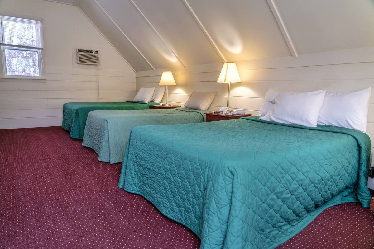 A room with two beds, each with green bedding and white pillows, and a red carpet.