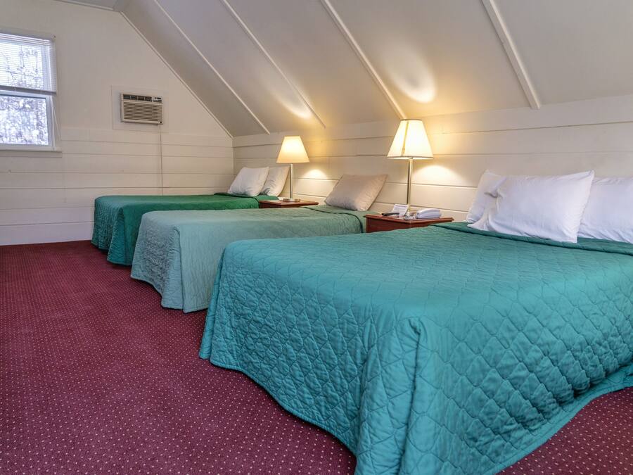 Una habitación con dos camas, cada una con ropa de cama verde y almohadas blancas, y una alfombra roja.