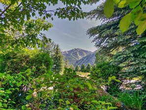 A mountainous landscape with dense forest in the foreground.