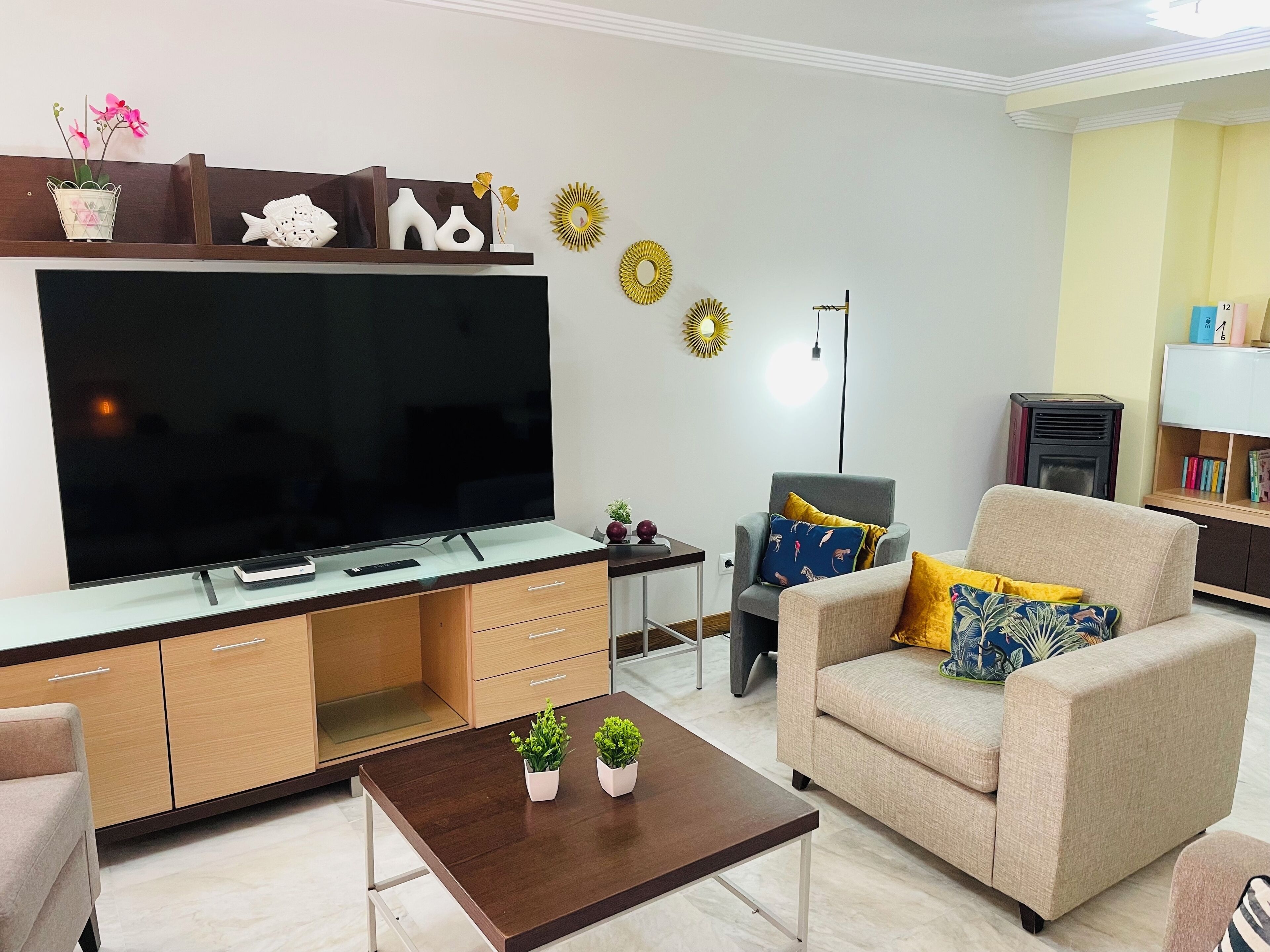 TV, DVD player, books