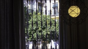 Une vue à travers une fenêtre ornée de barreaux en fer, avec un arbre et un bâtiment doté de balcons en arrière-plan.