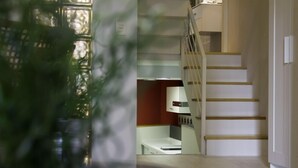 Un intérieur moderne avec un escalier menant à un deuxième étage, un mur blanc avec une porte, et une plante au premier plan.