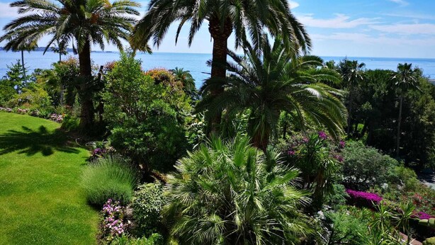 A lush garden with palm trees and flowering plants, overlooking a body of water. - Luxury building with swimming pool and sea access (Vallauris)