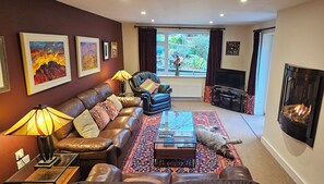 TV connectée, cheminée, livres
