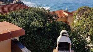 A coastal view with a barbecue grill, a clear sky, and a distant shoreline.