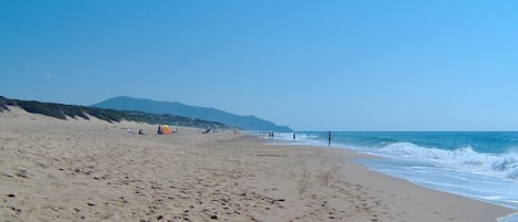 Am Strand