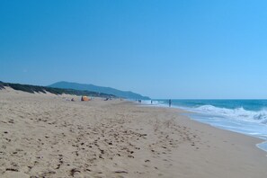 On the beach