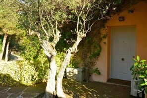 Detalle exterior