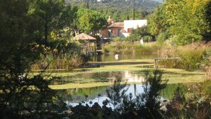 A serene pond with lily pads, surrounded by lush greenery and a building with a red roof in the background. - APP 3 rooms, private residence 25hect, 4 pers, private garden, sea view,  (Grimaud)