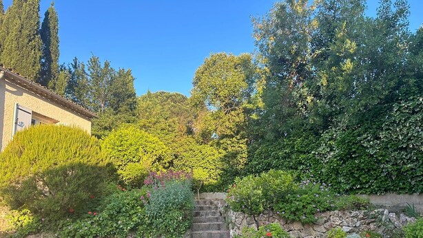 A stone staircase leading up to a building, surrounded by lush greenery and various plants. - Sainte Maxime: House with garden on french riviera. Terrace with solarium (Sainte-Maxime)