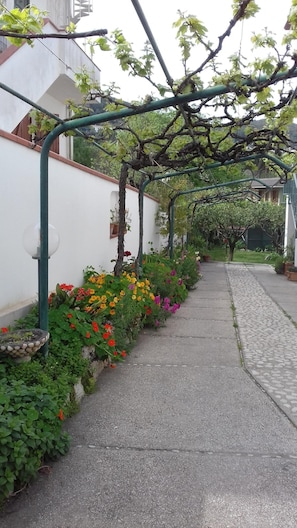Área da propriedade