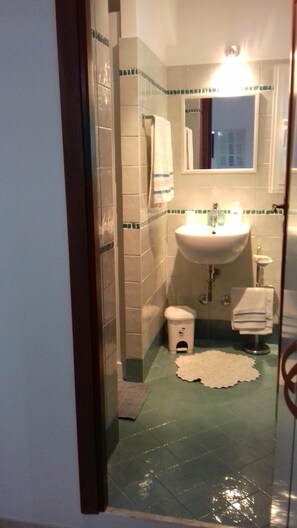 Combined shower/tub, hair dryer, bidet, towels