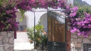 A gated entrance with a stone wall and flowering plants.