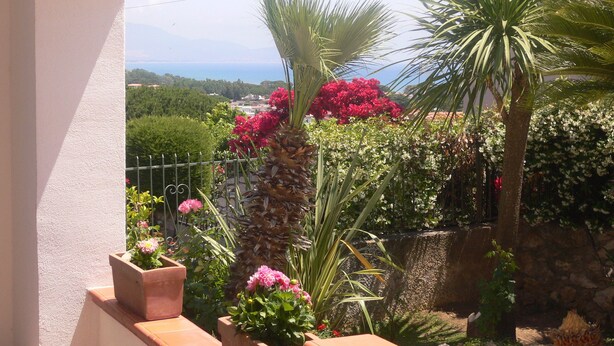 A balcony with potted plants and a view of the sea.