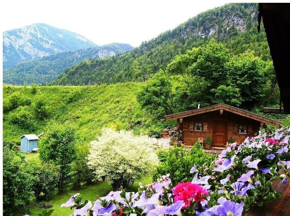Escape to a serene mountain retreat with a cozy cabin nestled among lush greenery.
