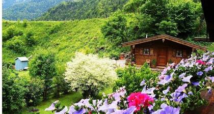 New apartment 40m², shower/toilet, quiet location, hiking trails from the house