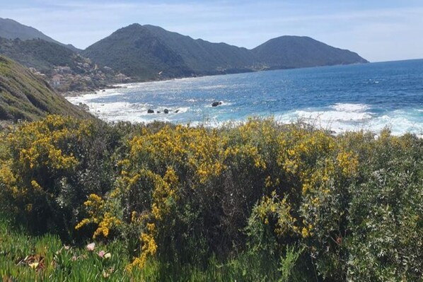 Unclassified image, 1 of 24, button