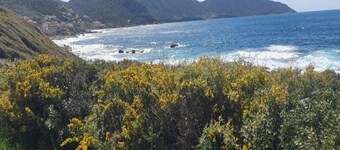 Apartment in a rustic atmosphere with a sea view