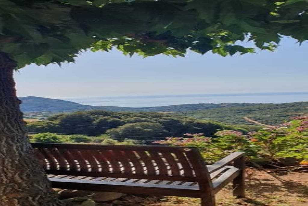 Un banc en bois, placé sous un arbre, offre une vue panoramique sur un paysage pittoresque, avec des collines et une étendue d’eau au loin.