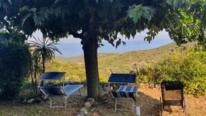 A tree with two solar-powered chairs under its shade, a rocky path, and a view of a hilly landscape.