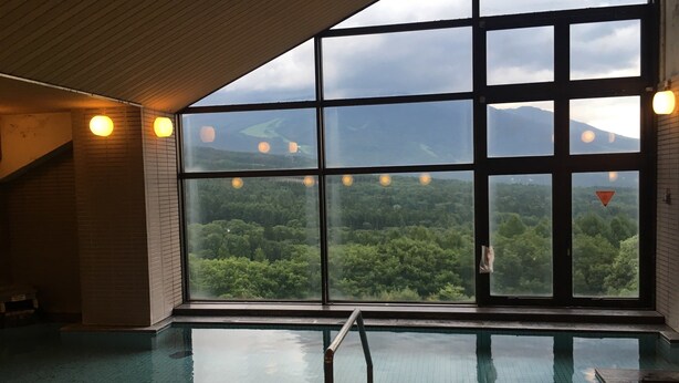 An indoor swimming pool with a view of a forested landscape through large windows. - Breezbay Resort Kurohime (Shinano)
