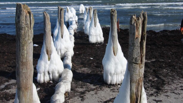 Ein Strand mit schneebedeckten Holzpfählen.