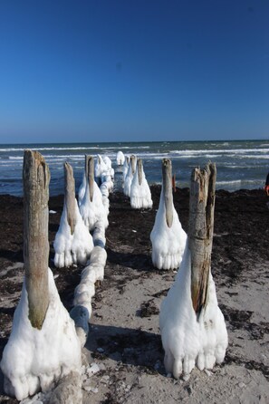 A beach with wooden posts covered in snow. - Organic vacation home, 3sleepR, 2 BathR, natural garden, sauna, WLAN, dogs allow (Altenkirchen)