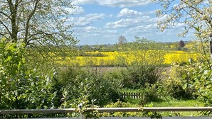 Een landelijk landschap met velden vol gele bloemen, bomen en een heldere lucht.