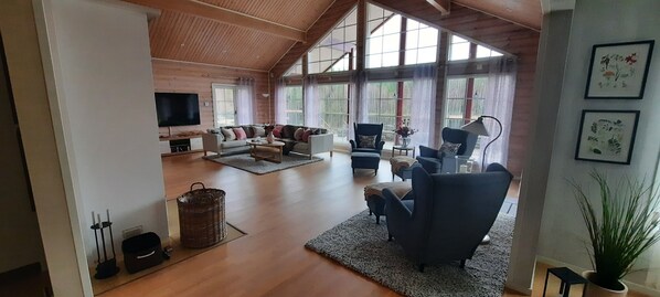 Smart TV, fireplace, DVD player, books