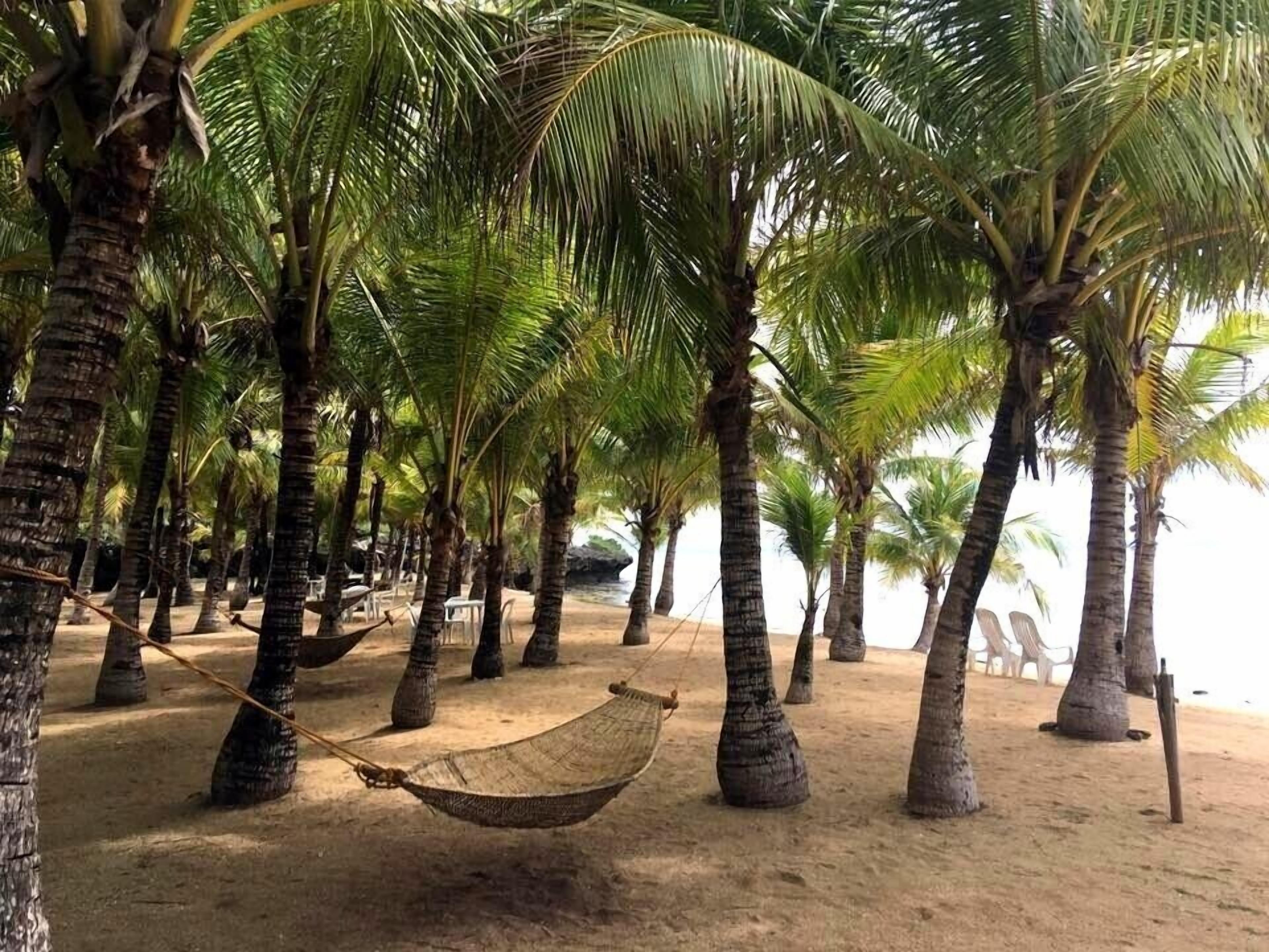 on the beach, scuba diving