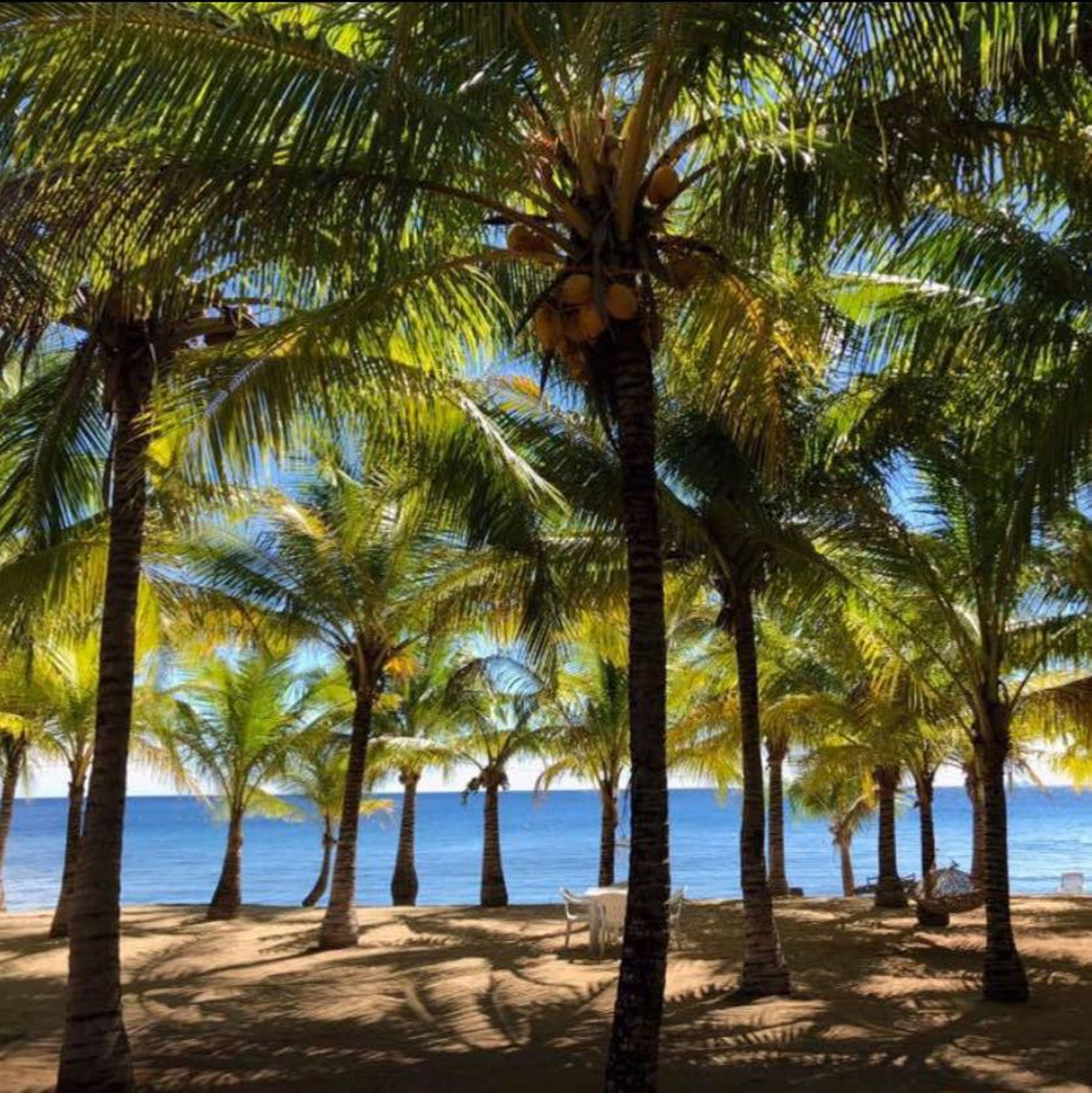 on the beach, scuba diving