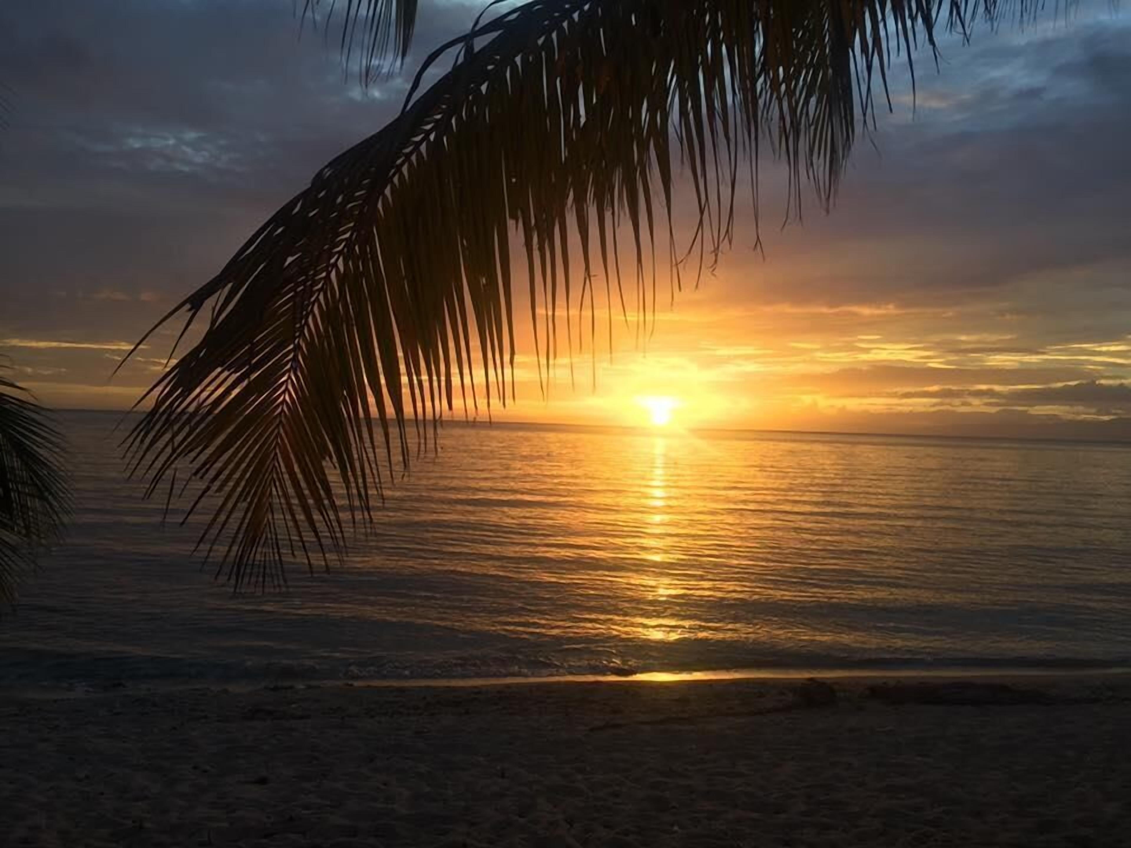 on the beach, scuba diving