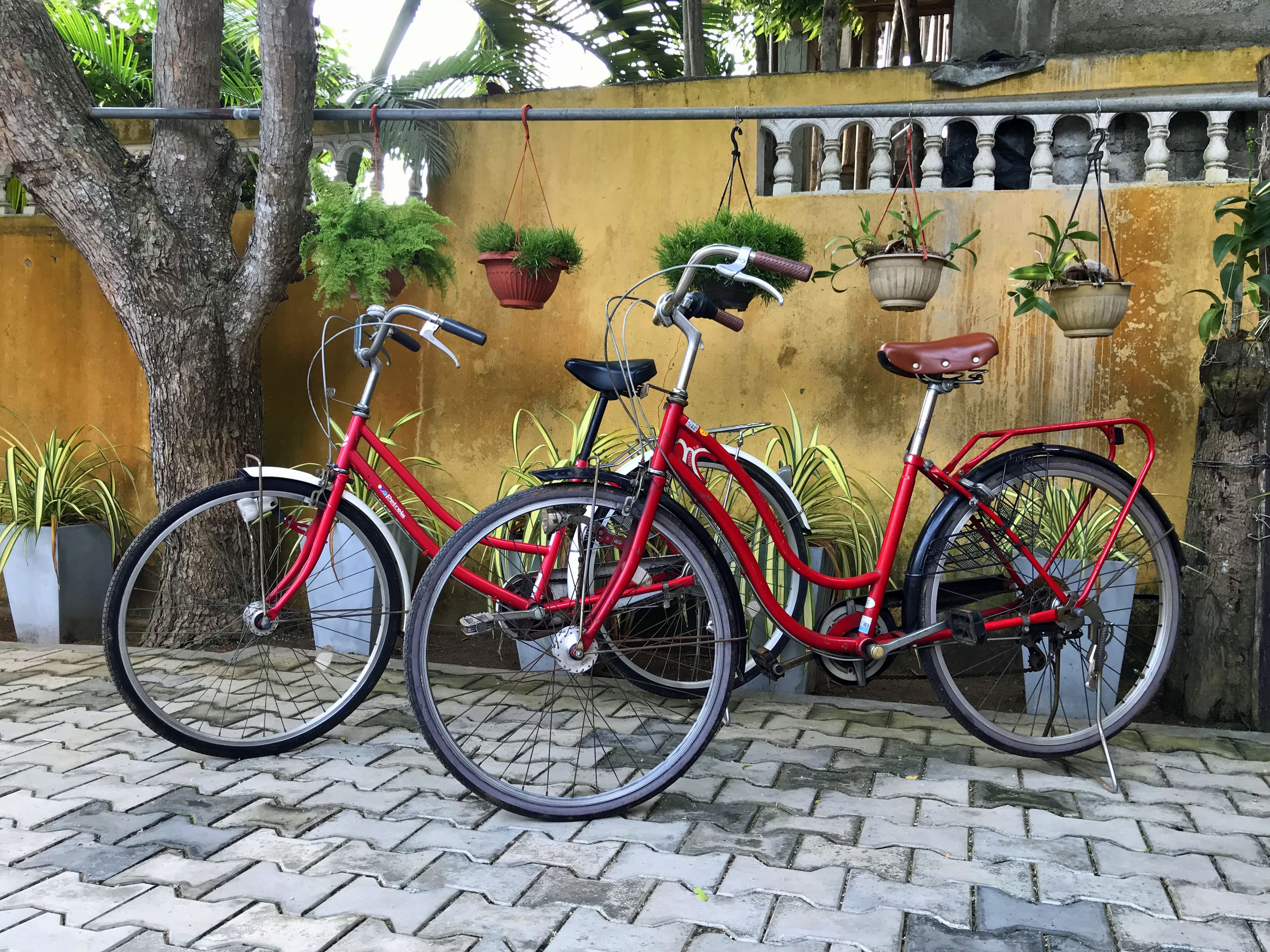 Tres bicicletas rojas estacionadas frente a una pared amarilla con plantas en macetas.