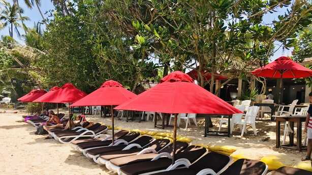 A row of sun loungers under red umbrellas on a sandy beach with trees in the background.