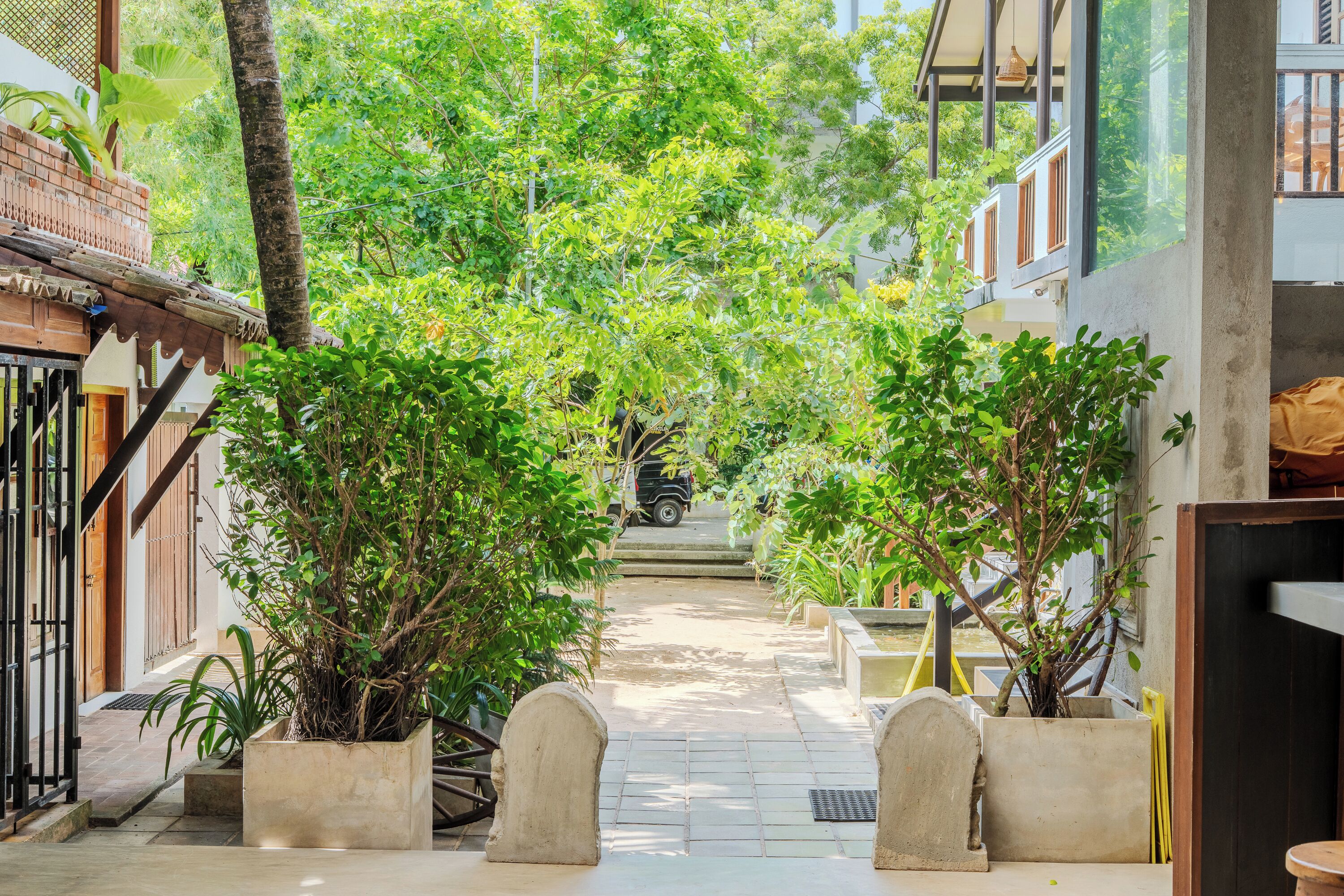 A narrow pathway flanked by potted plants and a building with a balcony.
