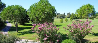 Luxury apartment 45m2 Golf of La Grande-Motte + private pool + sea