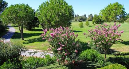 Luxury apartment 45m2 Golf of La Grande-Motte + private pool + sea