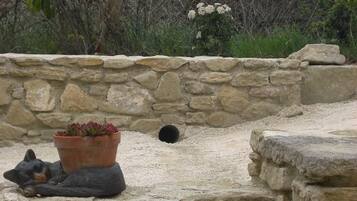 Áreas de la propiedad