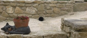 Le Chinaillon, holiday appartment in Saumane de Vaucluse, near facilities