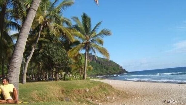 A beach with palm trees and a person sitting on the sand. - apartment rental Le Tampon (Réunion) (LE TAMPON)