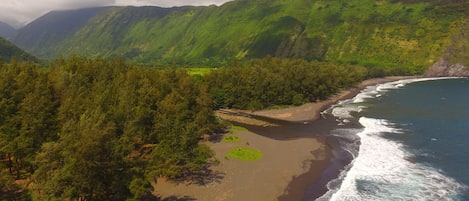 Sun loungers, beach towels