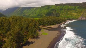 Sun-loungers, beach towels