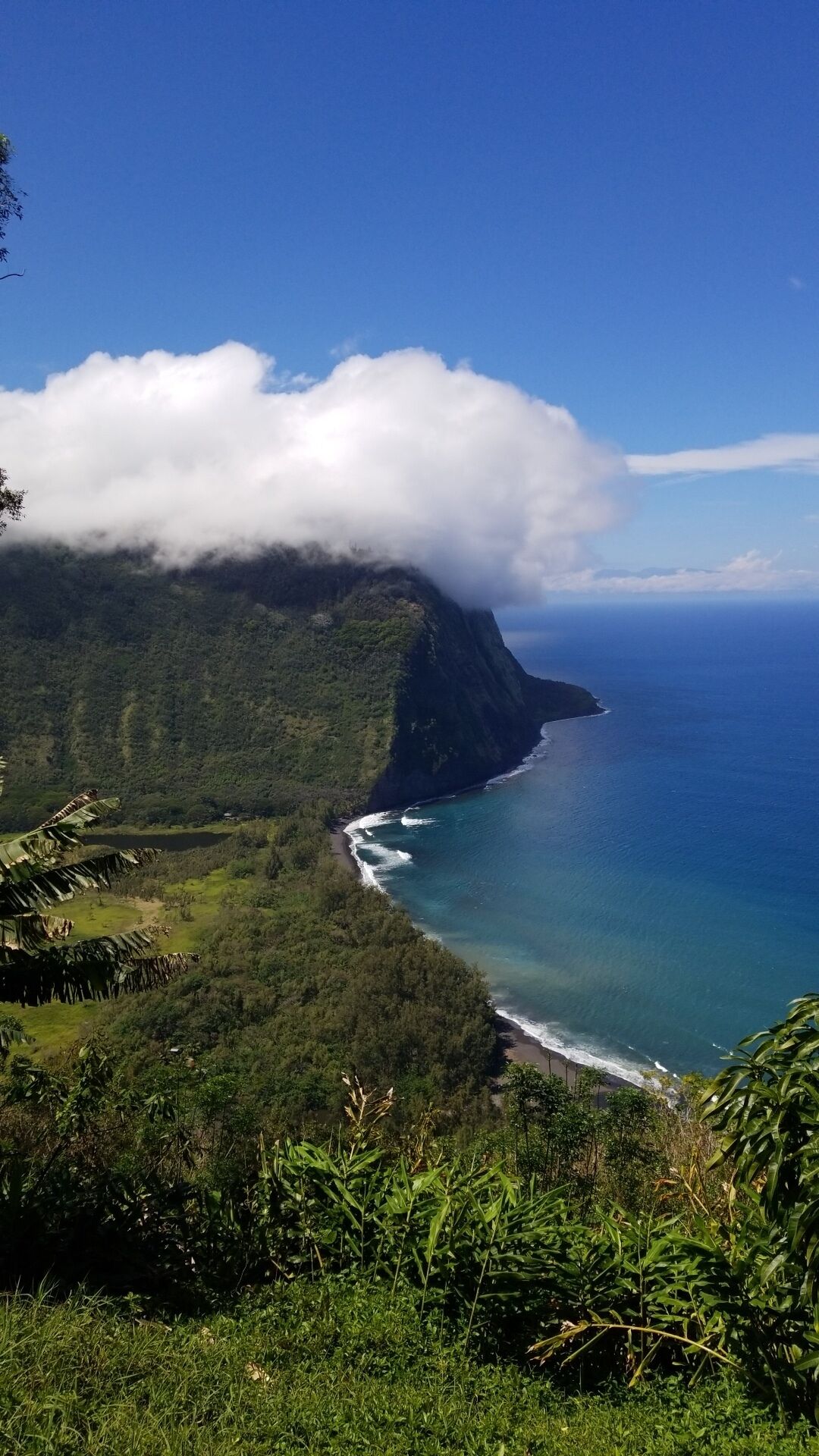 Eine Küstenlandschaft mit Berg, Meer und üppiger Vegetation.
