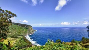 Sun-loungers, beach towels