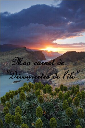 Exterior - Amazing views, large terrace and garden. (Madère)