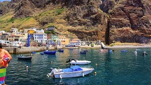 A coastal town with buildings along the waterfront, boats in the water, and rocky cliffs in the background. - Amazing views, large terrace and garden. (Madère)